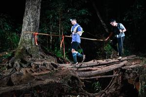 BIB: 
                            <button type="button" onclick="openModal(27425080)" class="btn btn-primary btn-sm float-right btn-popup" data-toggle="modal" data-target=".modal-high-quality">
                        <i class="fas fa-shopping-cart"></i> Add to Cart
                    </button>
                                            <button type="button" onclick="isThisMe(27425080, true)" class="btn btn-success btn-sm float-right btn-popup btn-isme hidden" data-toggle="tooltip" data-placement="bottom" title="นี่คือรูปของคุณใช่ไหม คลิกที่นี่เพื่อเอาเข้าอัลบั้ม">
                        <i class="fas fa-plus"></i> Add to album
                    </button>
                    <button type="button" onclick="isThisMe(27425080, false)" class="btn btn-warning btn-sm float-right btn-popup btn-isnotme hidden">
                        <i class="fas fa-ban"></i> Remove from album
                    </button>